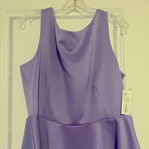 Dahlia purple top
